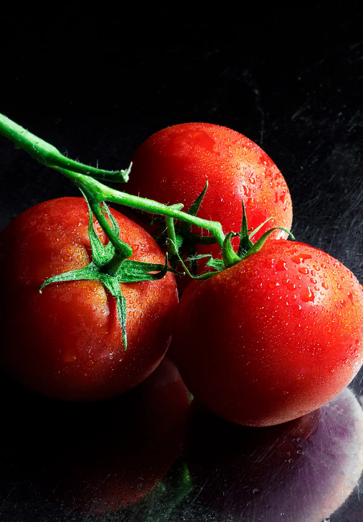 Rote Tomaten mit Wassertropfen vor dunklem Hintergrund